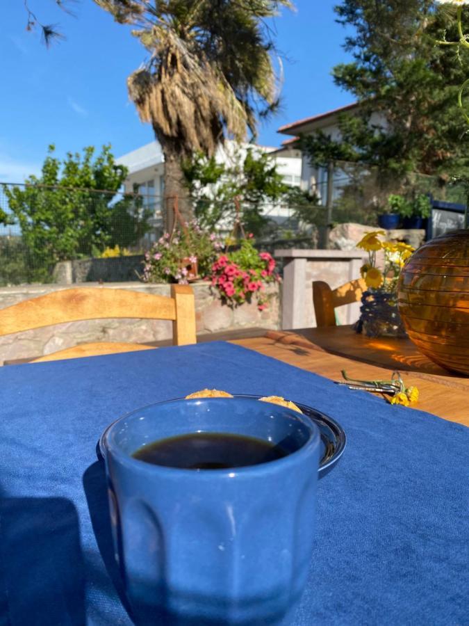 Lacivert Hotel Ayvalı Buitenkant foto